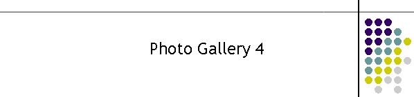 Photo Gallery 4